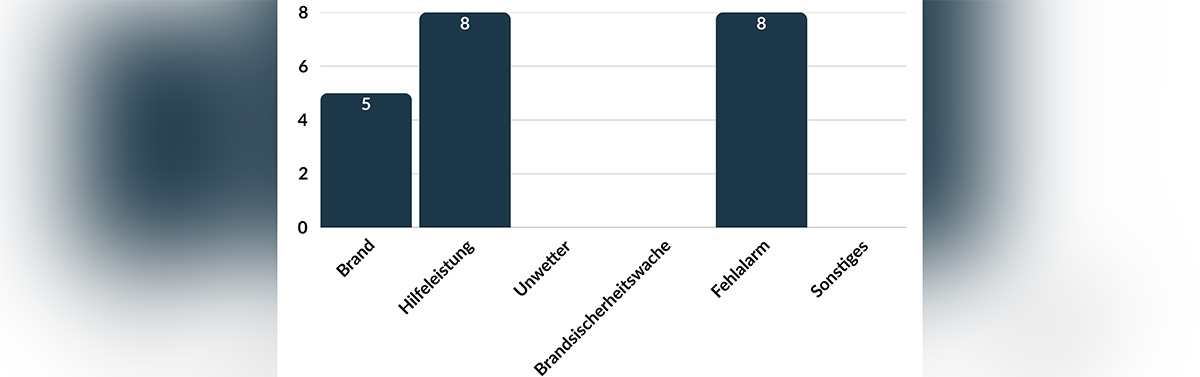 Diagramm der Einsatzzahlen Q2/25